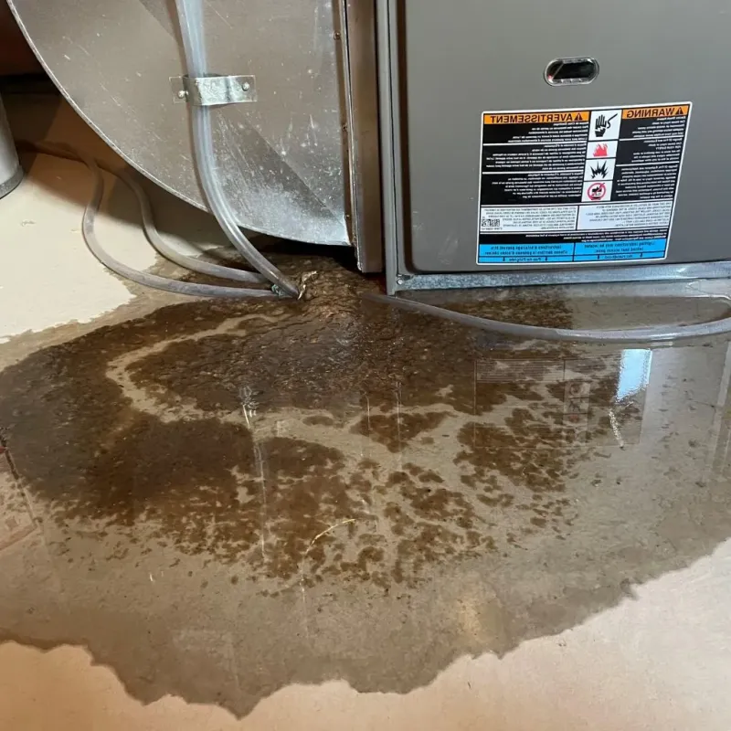 Pipe Burst and Leak Restoration in La Porte City, IA